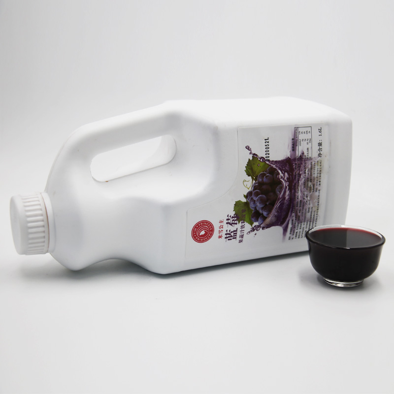 Jus konsentrat blueberry 1,9L