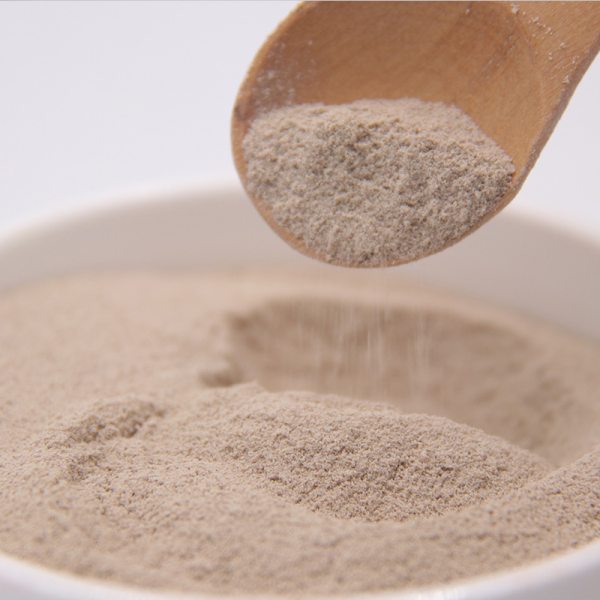 Chocolate Ice Cream Powder 1 Kg Bag Soft Ice Cream Wholesale