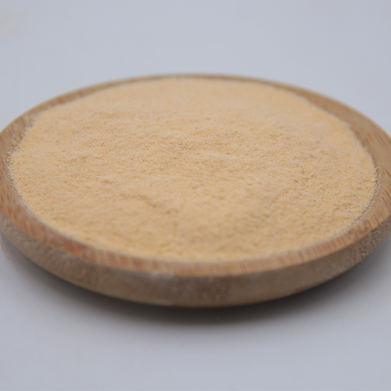 Soft Wholesale raw Material Orange Ice Cream Powder 1KG